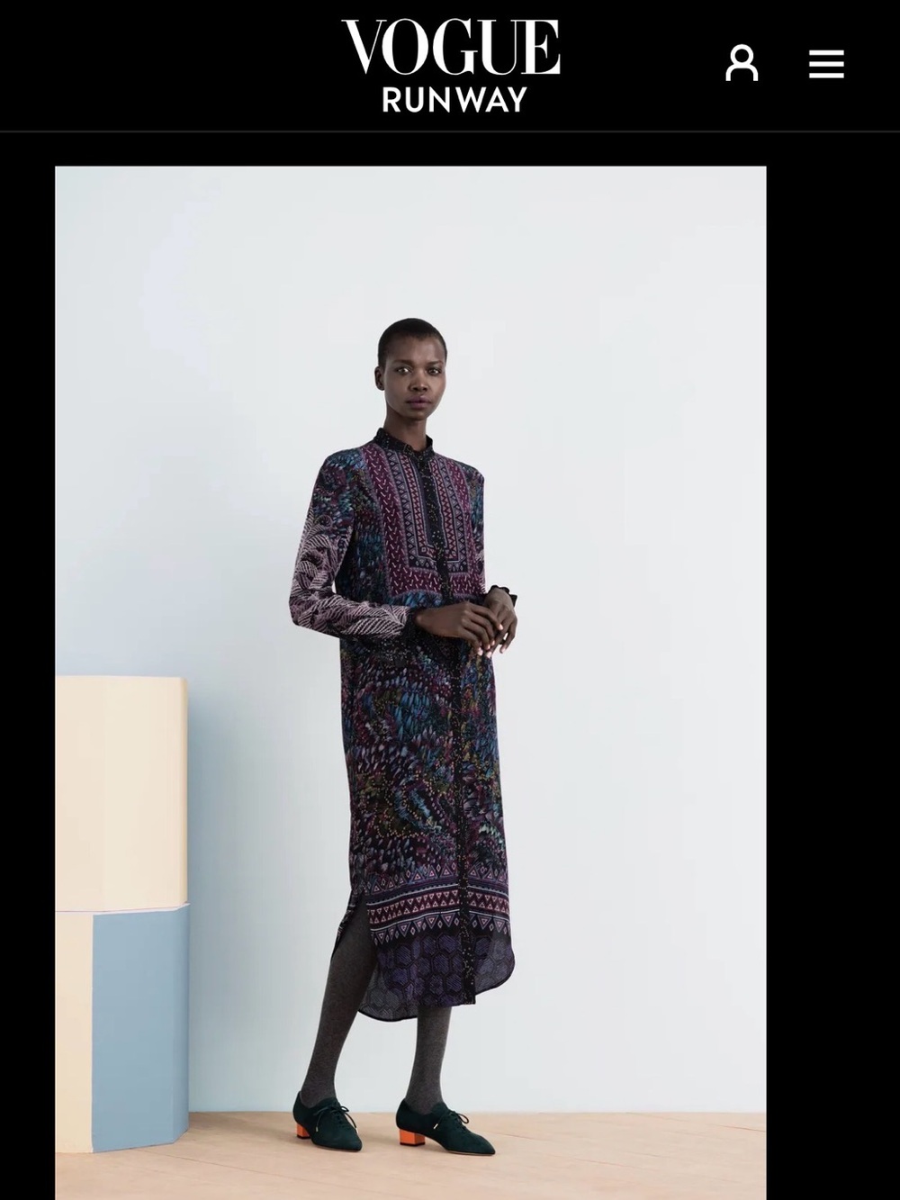 SALONI | 100% Silk Maxi Dress, US8